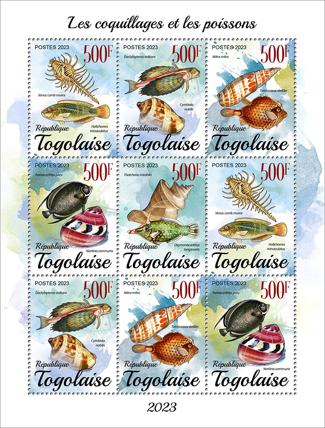 Muscheln und Fische 2023