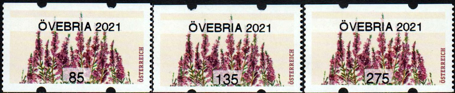 Sommer 2021, Erika, mit Aufdruck "Övebria 2021"