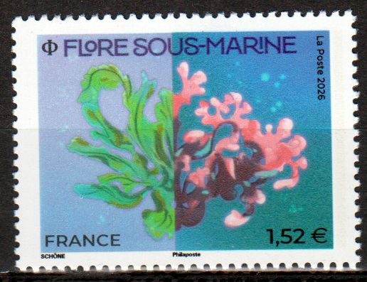 Meeres Flora 2026
