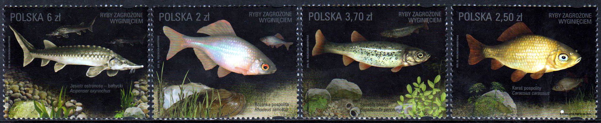 Bedrohte Fische 2016