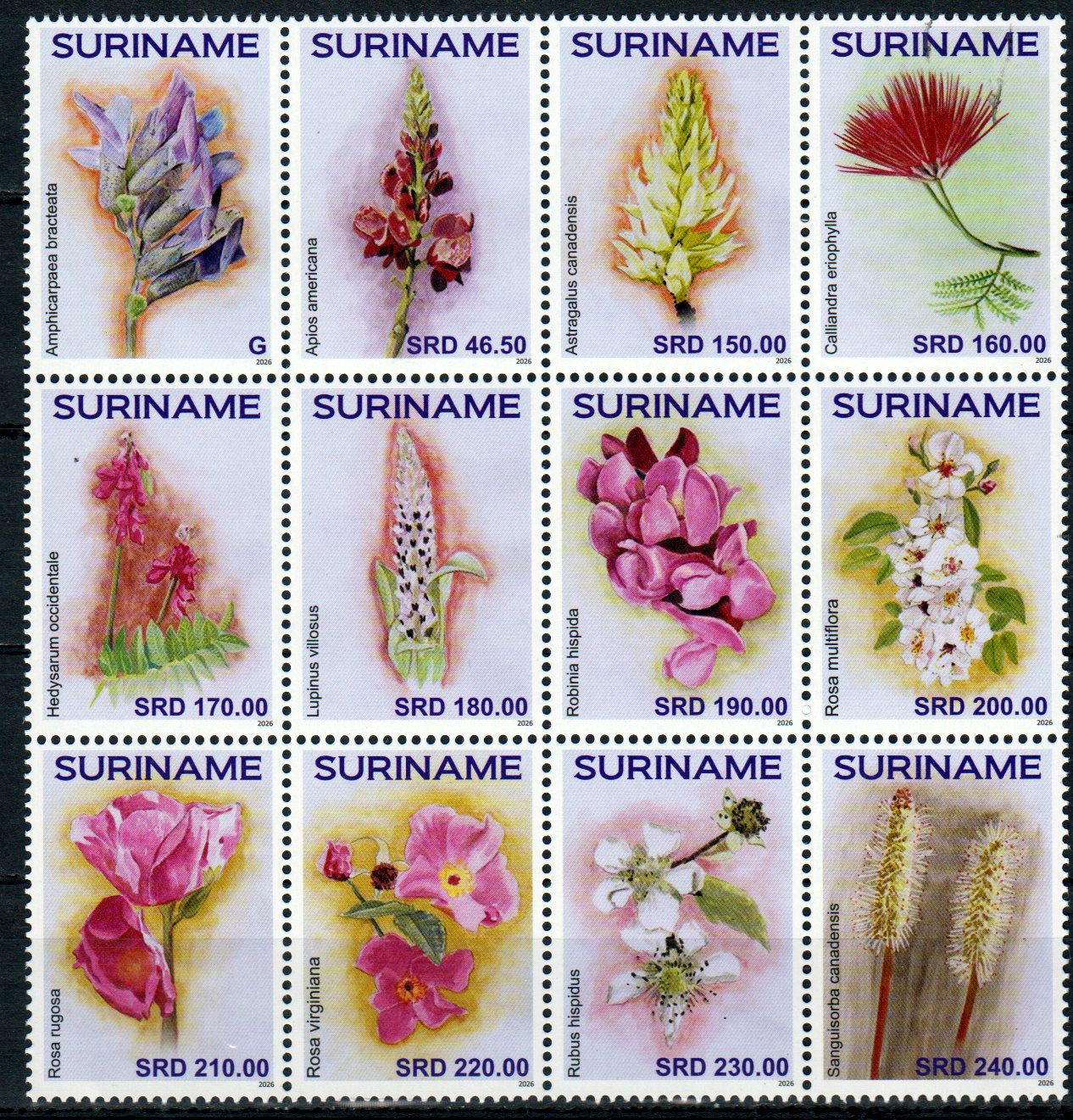 Blumen 2026