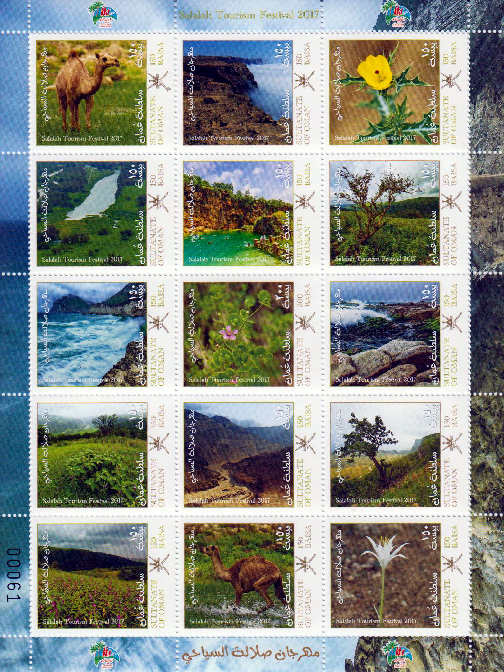 Zdr. Salalah 2017, Ansichten, Kamel, Landschaften, Blumen