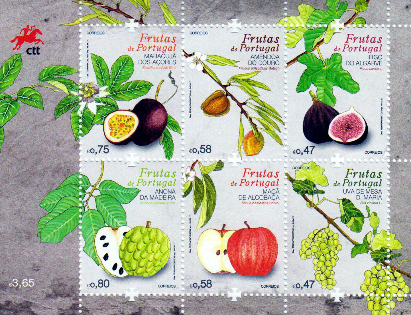 Block: Früchte II, Feige