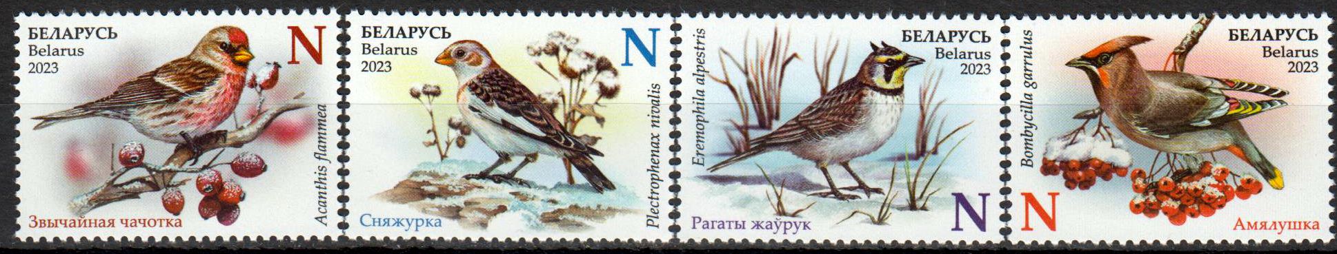 Vögel - Wintergäste in Belarus 2023