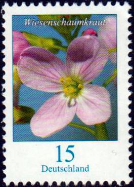 Dauer: Wiesenschaumkraut 2018 (15ct)
