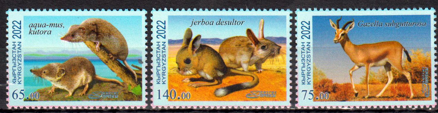 Tiere im Roten Buch 2022, Wüstenspringmaus,  Kropfgazelle