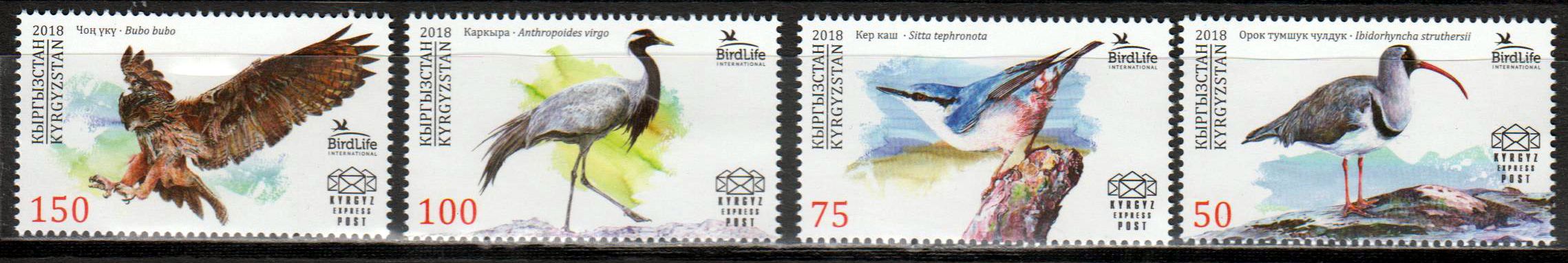 Vögel 2018, Ibisschnabel