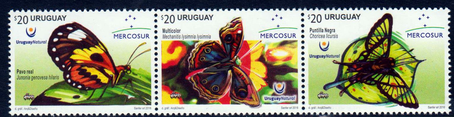 Zdr. Schmetterlinge 2016, Mercosur