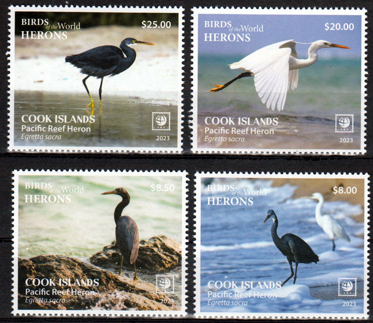 Vögel der Welt 2023, Riffreiher