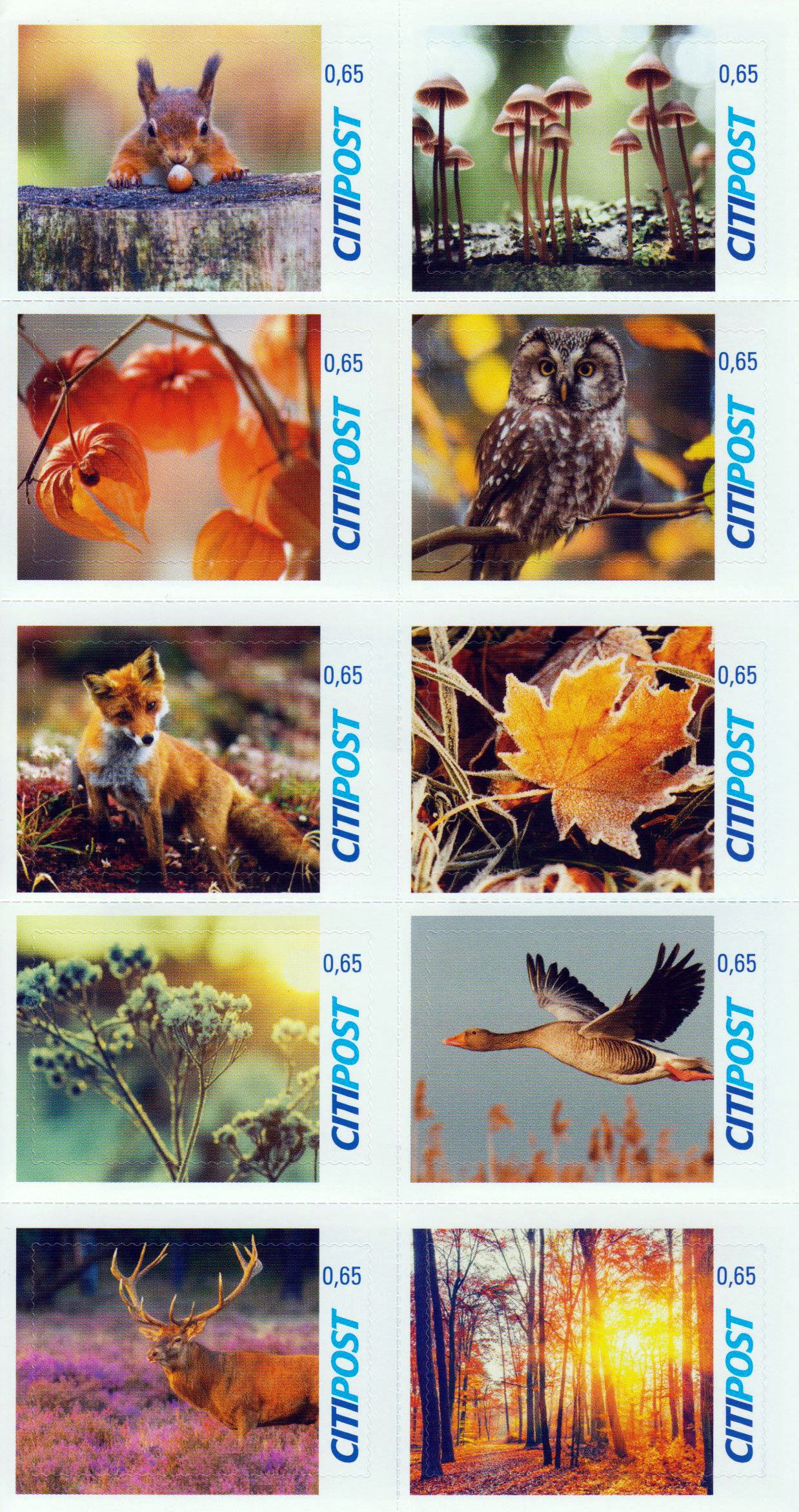 Herbst 2017, Eichhörnchen, Pilze, Eule, Blätter, Hirsch, Gans, Fuchs, Ersttag 10.10.2017