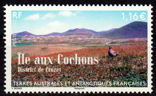 Ile Aux Cochons 2023