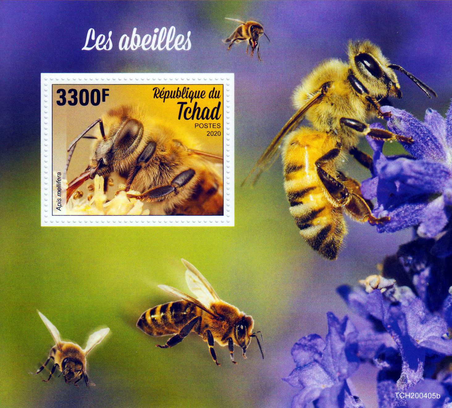 Block: Bienen 2020, Honigbiene