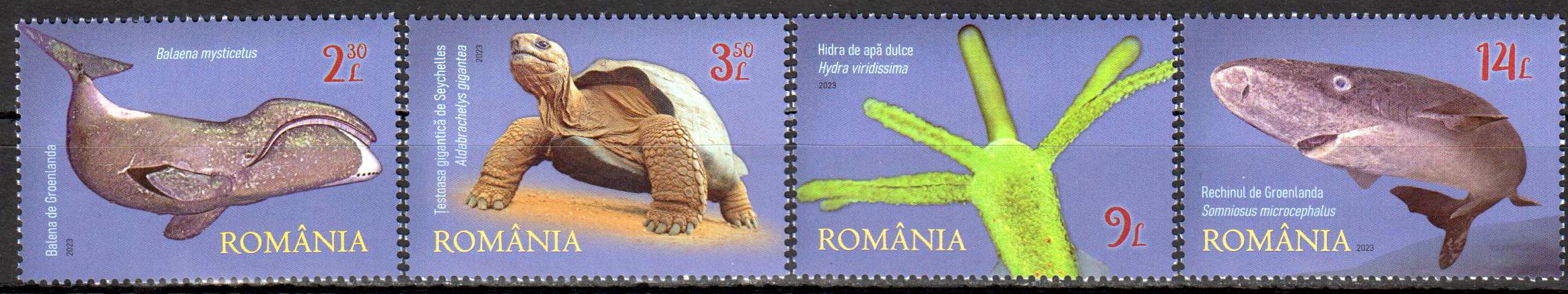 Meister der Langlebigkeit 2023, Schildkröte, Wal, Hai