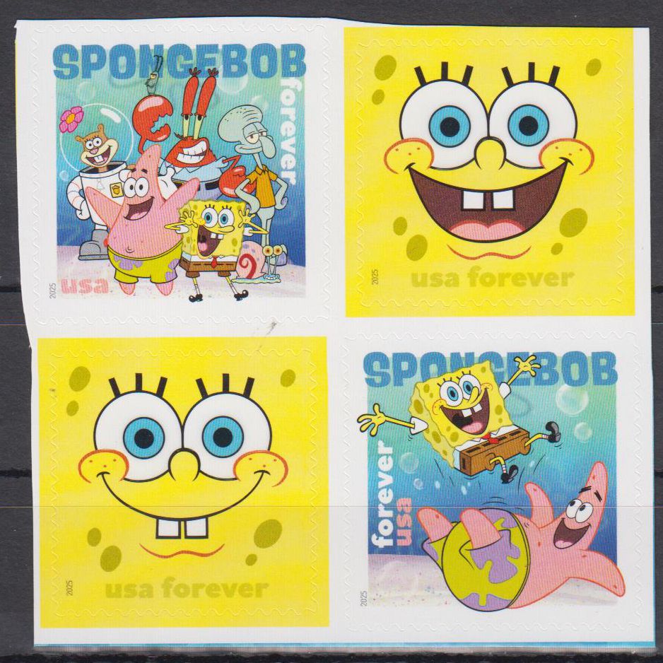 Sponge Bob 2025, sk