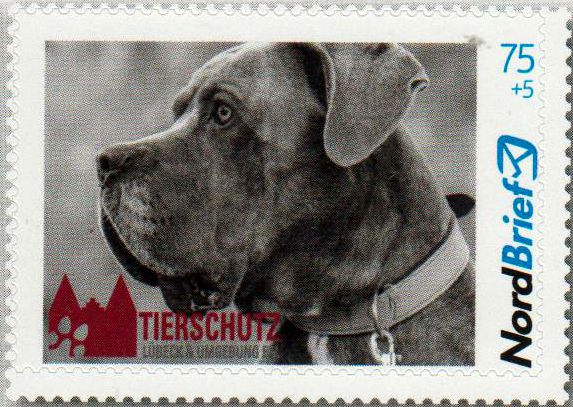 Tierschutz Lübeck 2020, Hund, gestempelt
