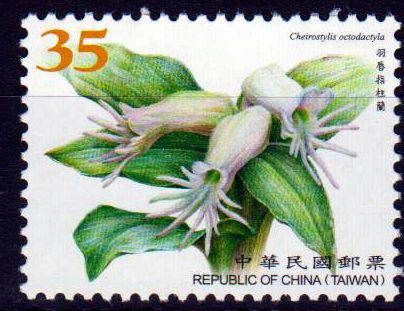 Dauer: Wilde Orchideen, Neudruck 2021