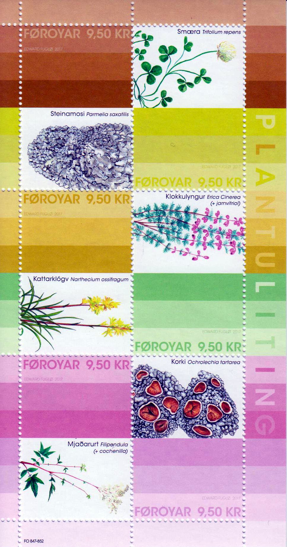 Block: Pflanzenfärben