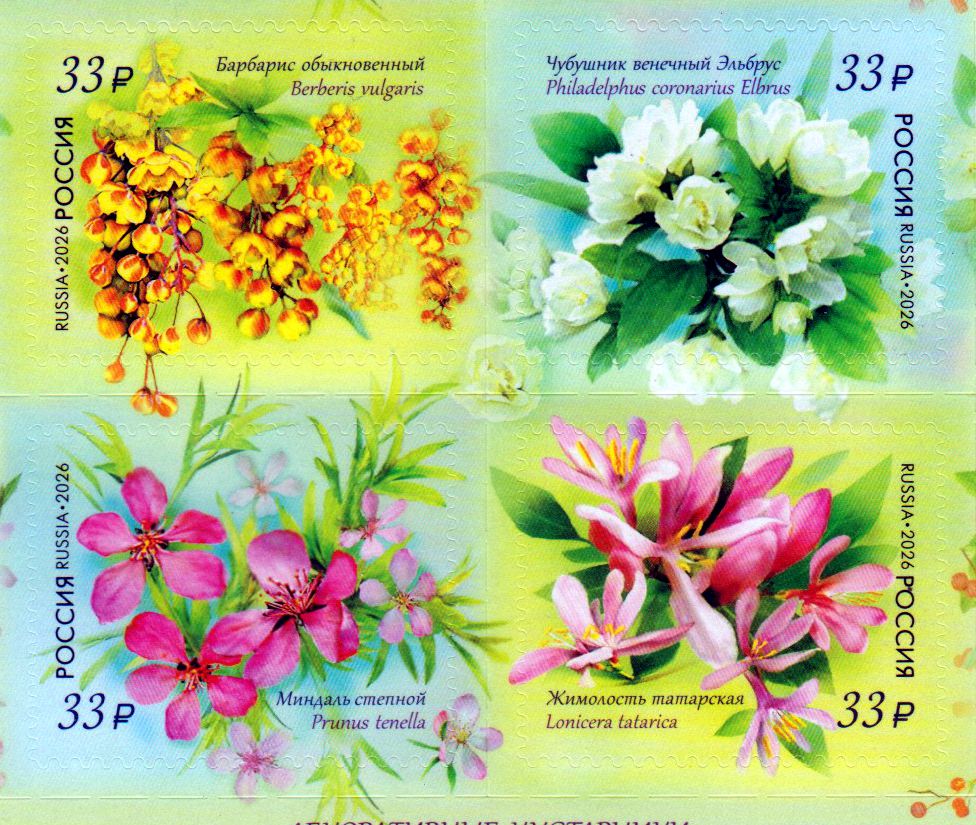 Flora 2026, Ziersträucher sk