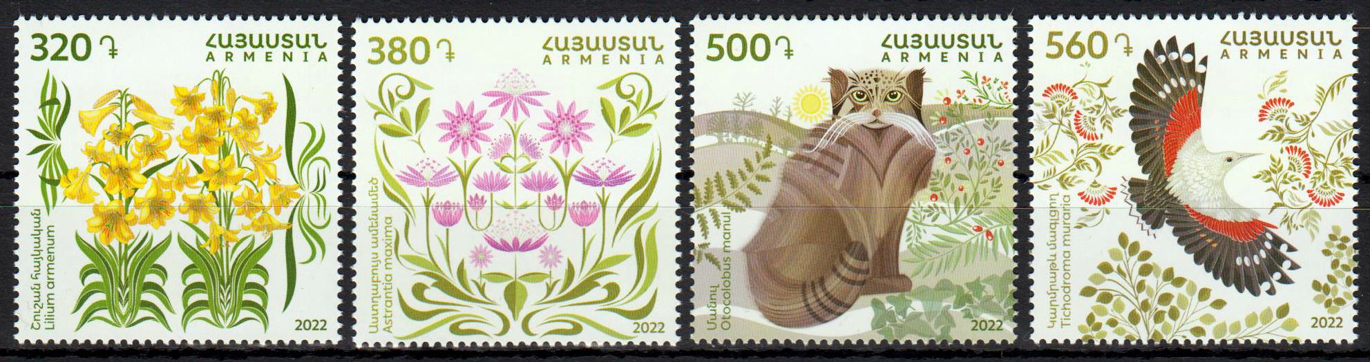Flora u. Fauna 2022, Katze, Vogel, Blumen