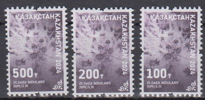 Rotes Buch 2024, Olgaea nidulans 100, 200, 500 tenge