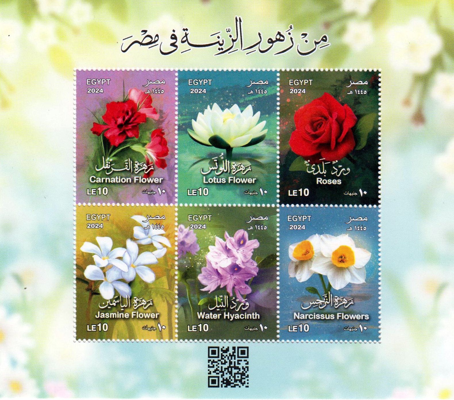 Block: Blumen in Ägypten 2024