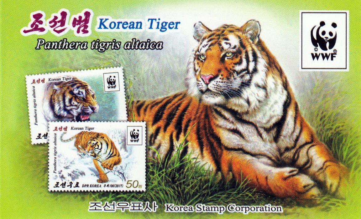 WWF 2017, Tiger