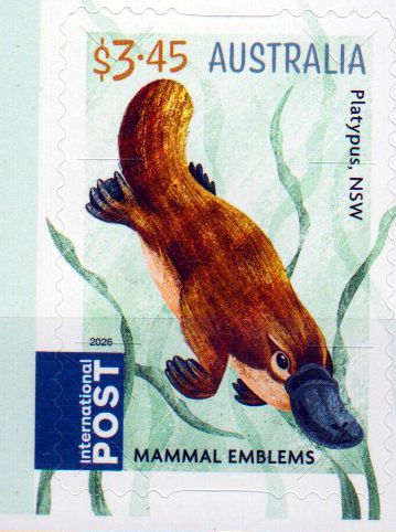 Säugetiere 26, Platypus