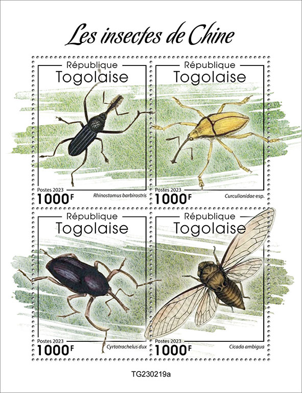 Insekten in China 2023