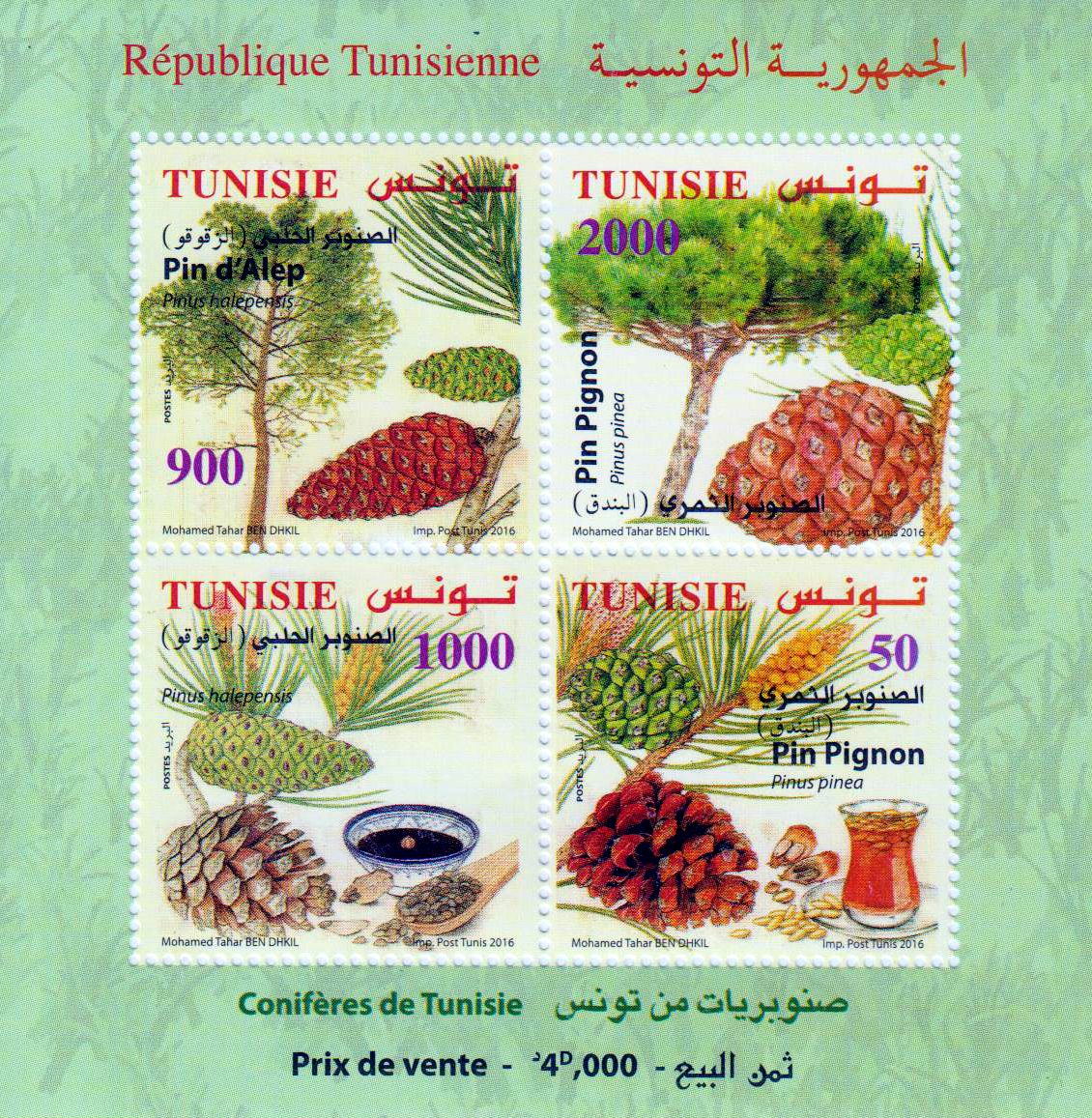 Block: Koniferen 2016