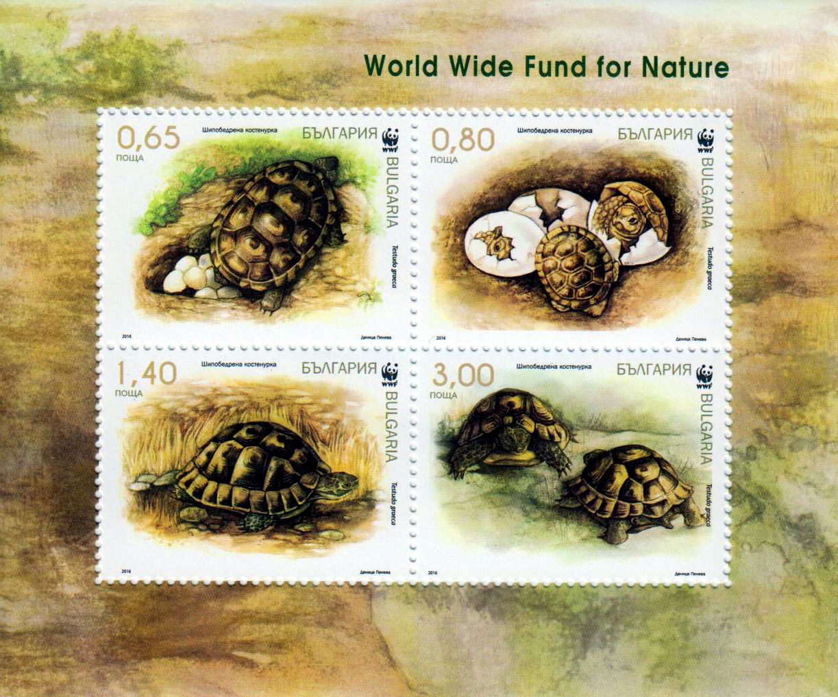 Block: WWF 2016, Schildkröten