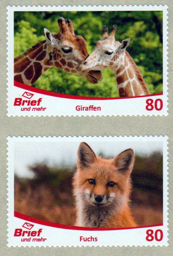 Zootiere 2022, Giraffen und Rotfuchs aus Rolle, sk
