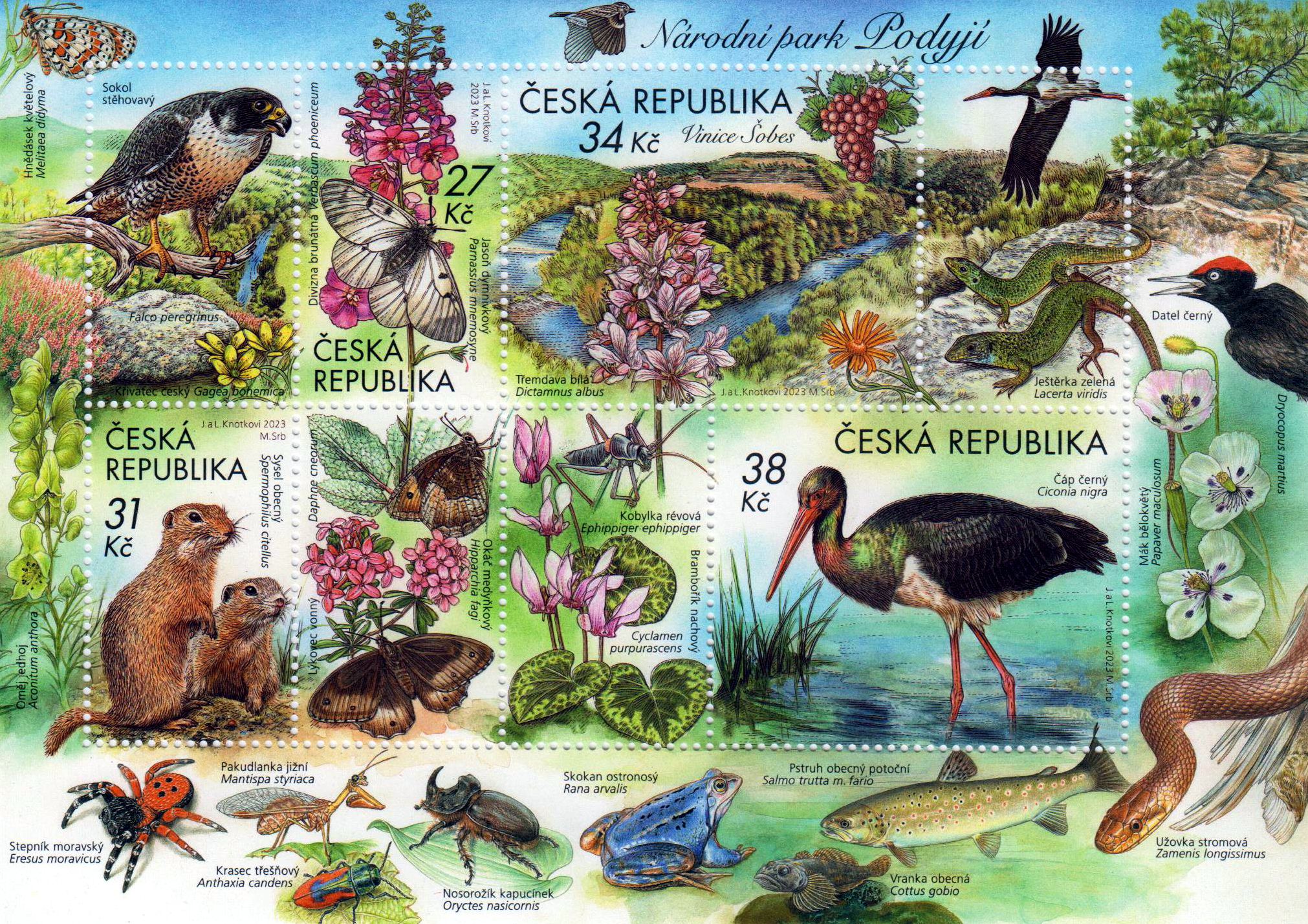 Block: Nationalpark Podyji 2023,Vögel, Blumen