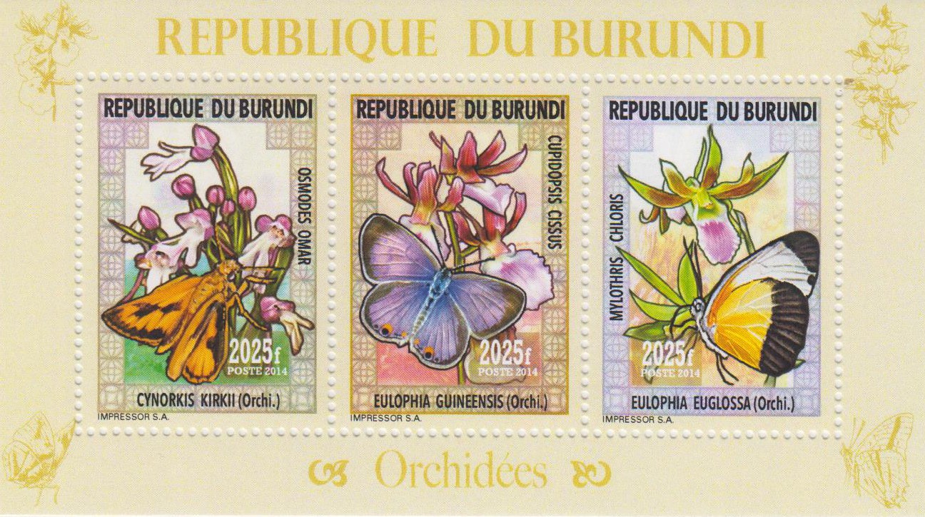 Orchideen, Schmetterlinge 2015