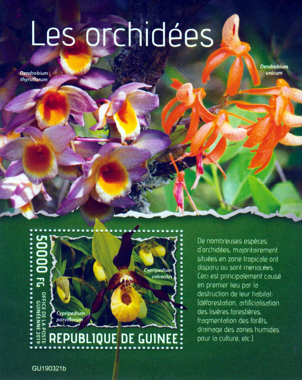 Block: Orchideen 2019