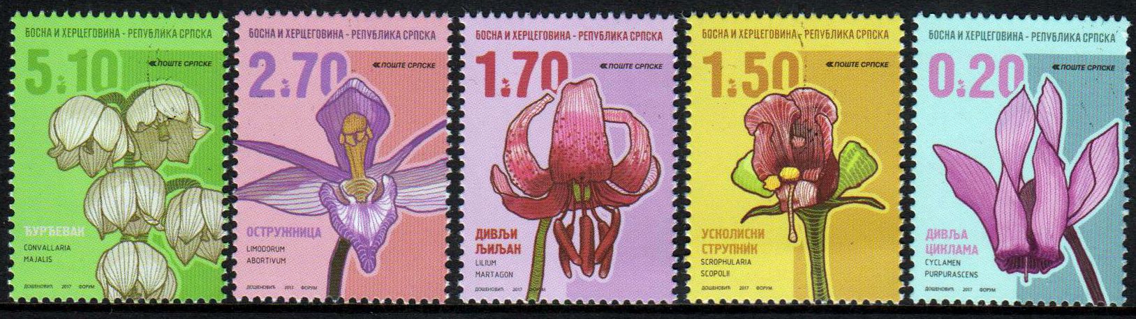 Dauer: Blumen 2017