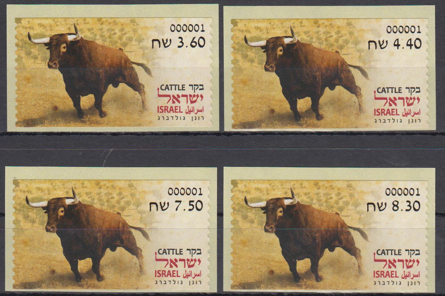 Tiere der Bibel 2024, Stier