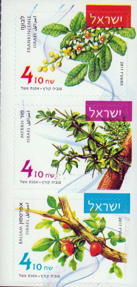 Aromatische Pflanzen, sk, a. MH