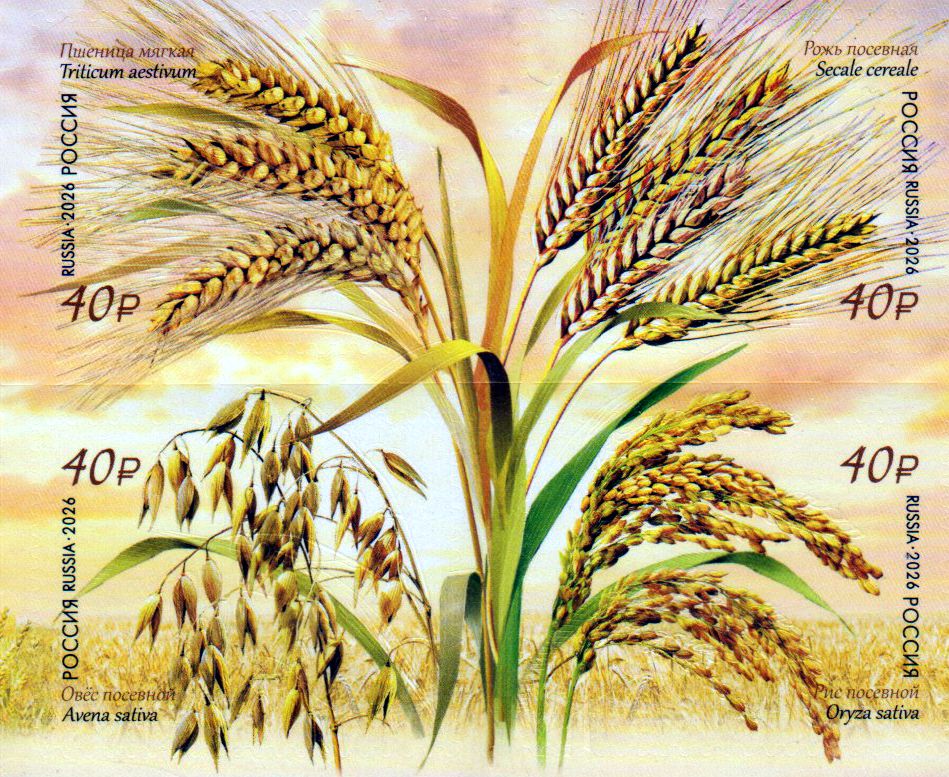 Flora 2026, Getreidearten, sk