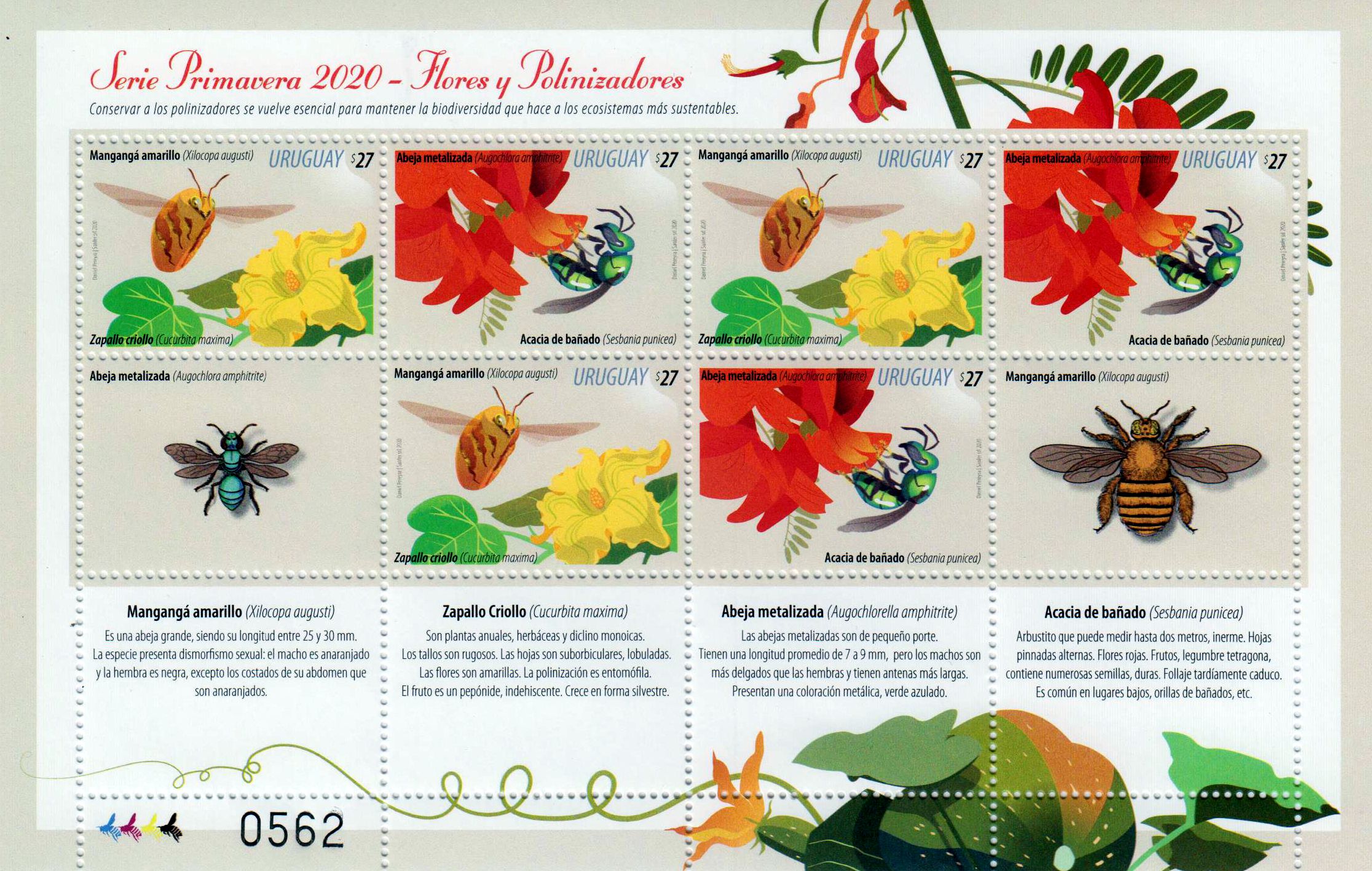 Zdr. Blumen und Bestäuber 2020