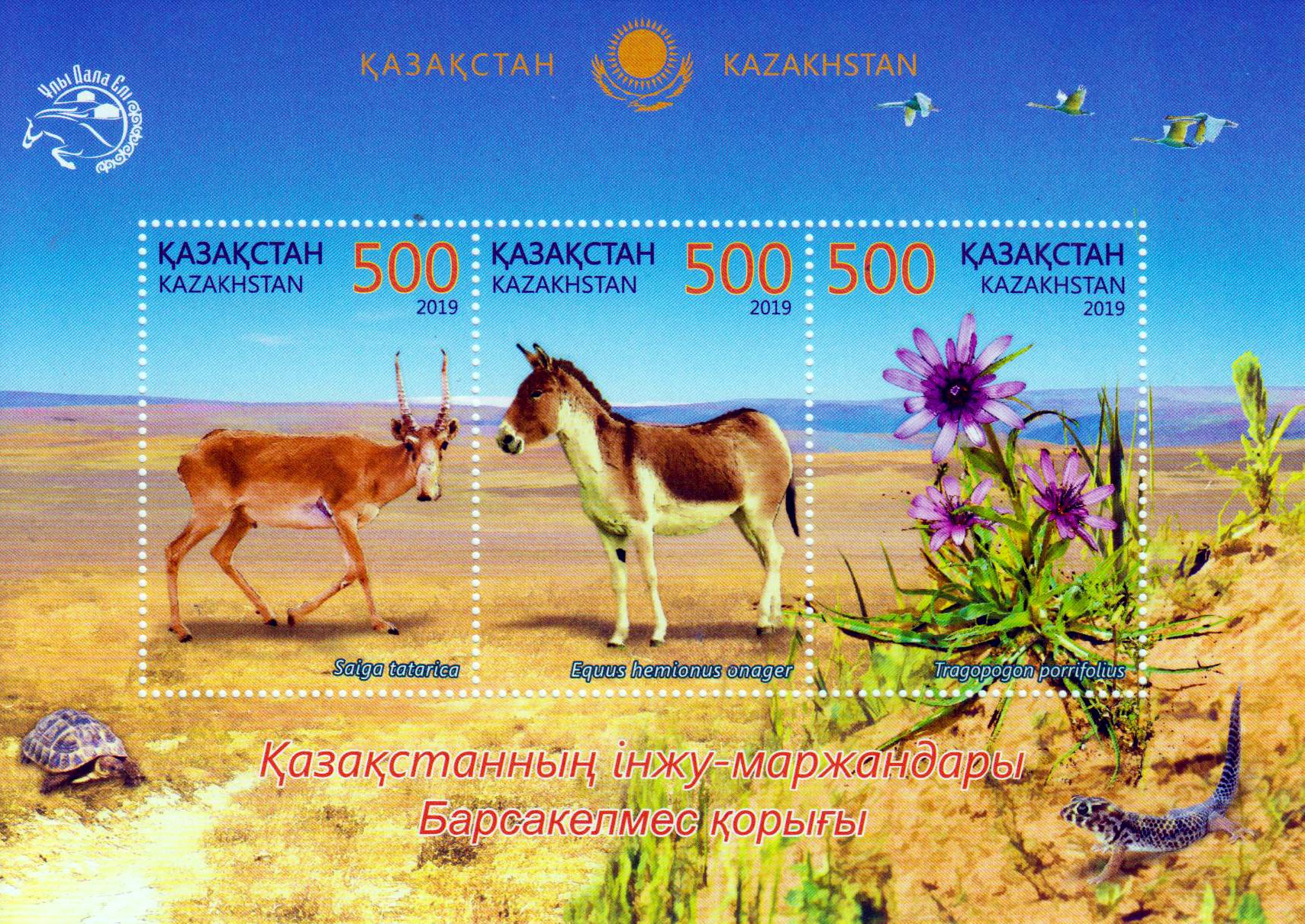 Block: Naturreservat Barsa-Kelmes 2019, Antilope, Esel, Blume