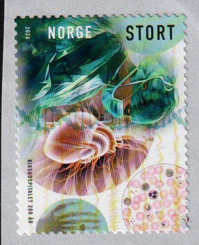 200 Jahre Rikshospitalet 2026, sk, von Rolle