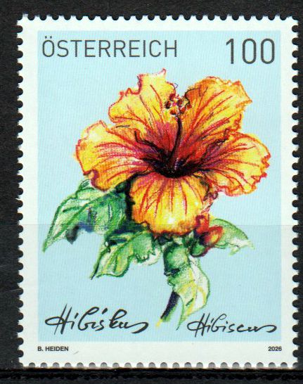 Treuebonus Hibiskus 2026