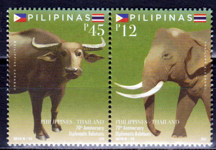 Elefant u. Büffel 2019, Thailand GA