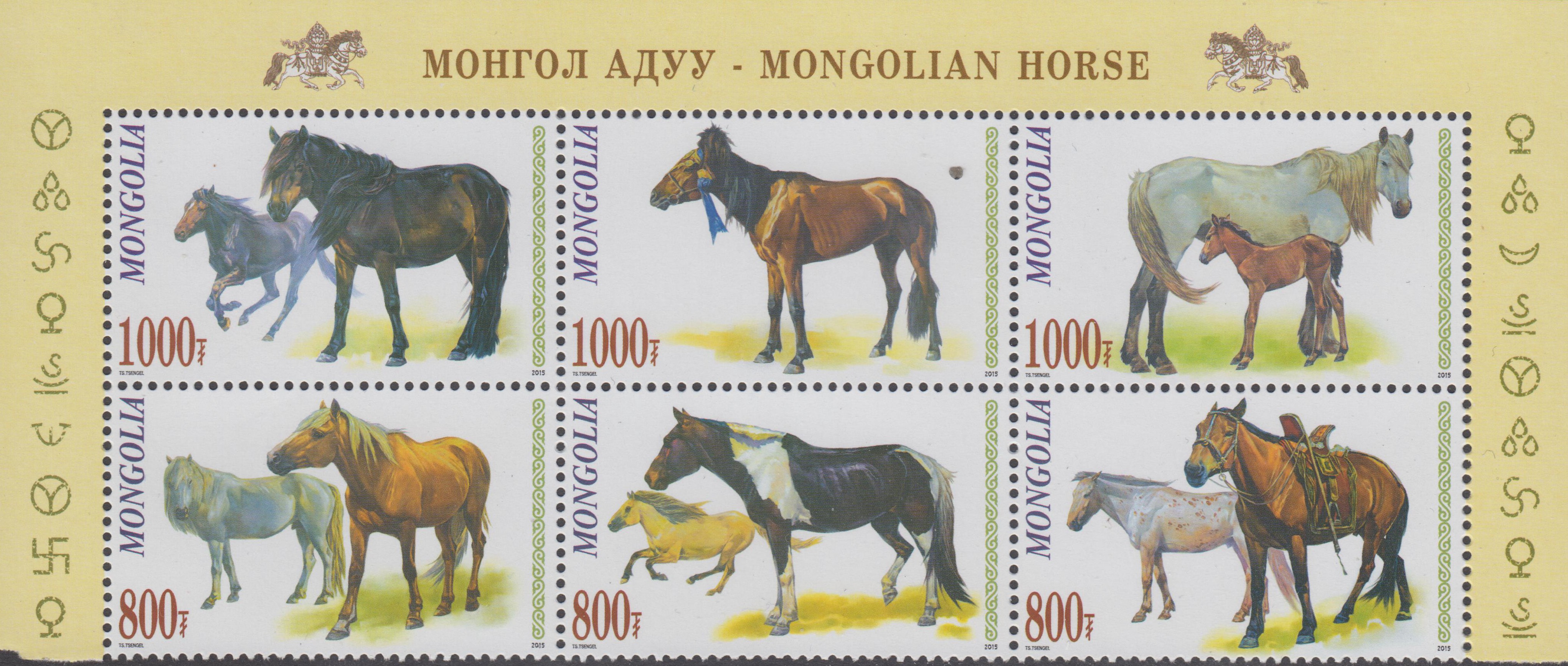 Mongolische Pferde (15P10)
