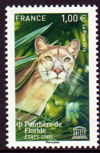 UNESCO 2016, Florida, Panther