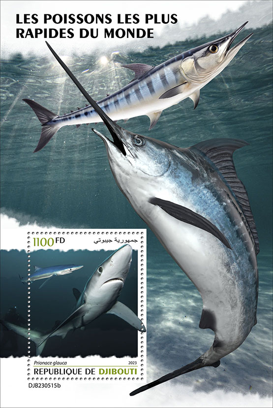Block: Schnellste Fische der Welt 2023