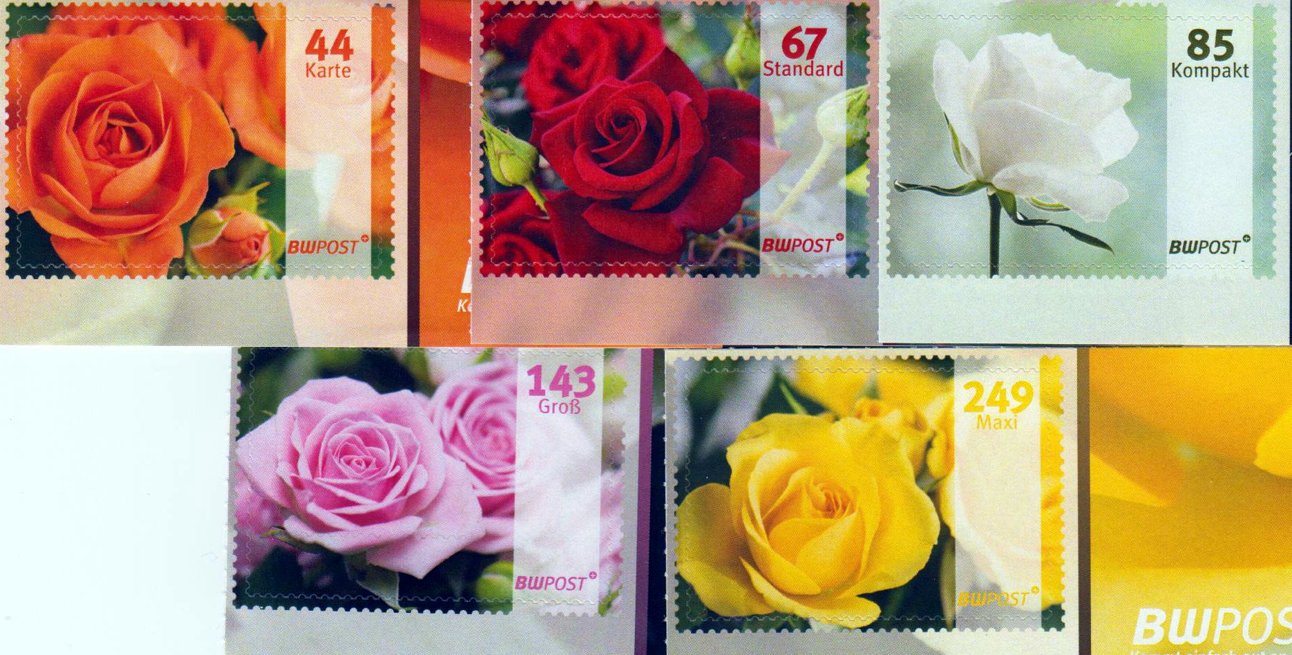 Rosen sk 2017