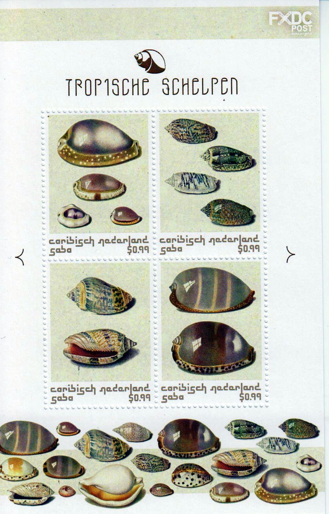 Saba: Zdr. Muscheln 2018, bunt