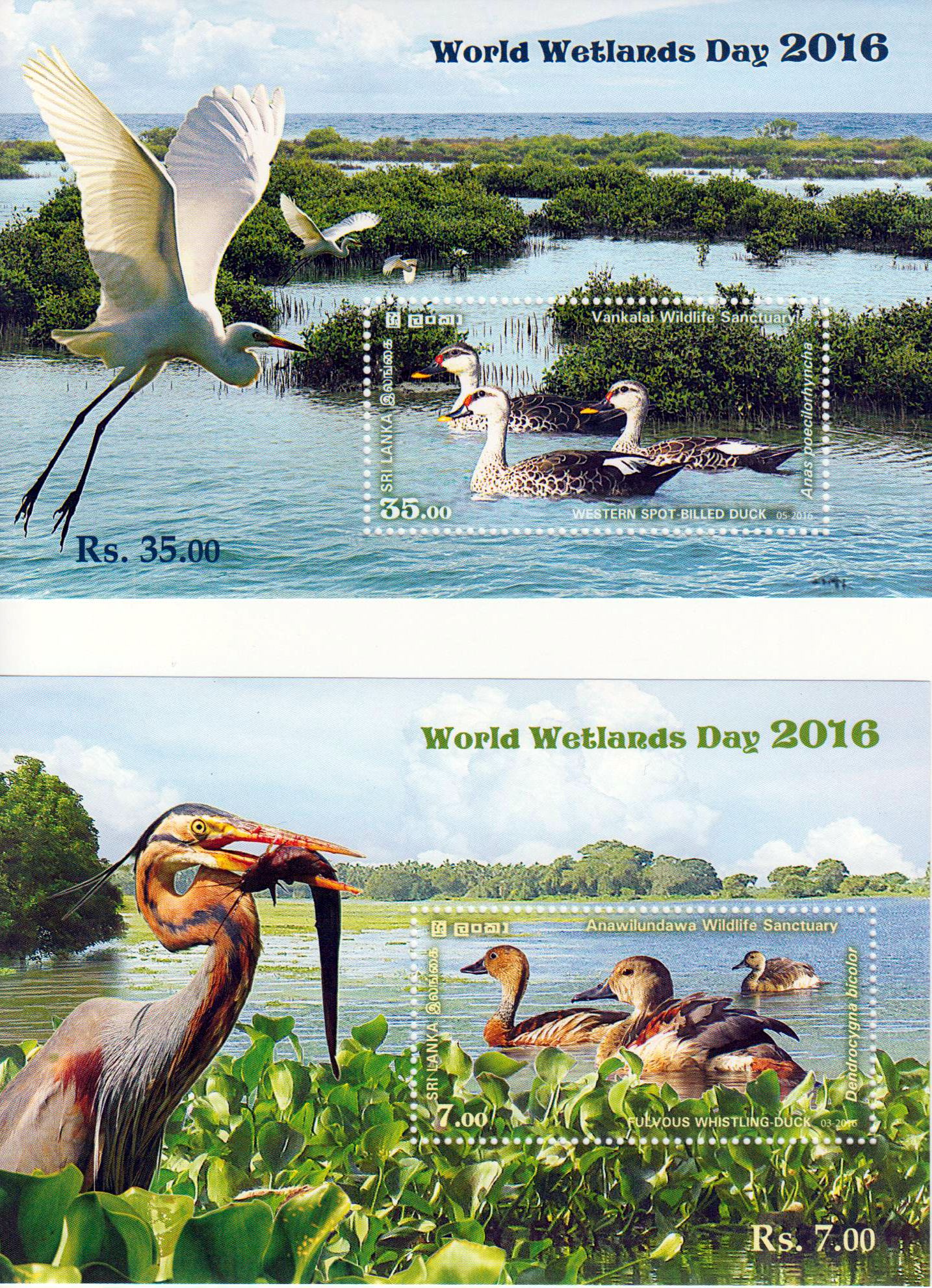 Block: Welttag der Feuchtgebiete 2016, Wasservögel (0049