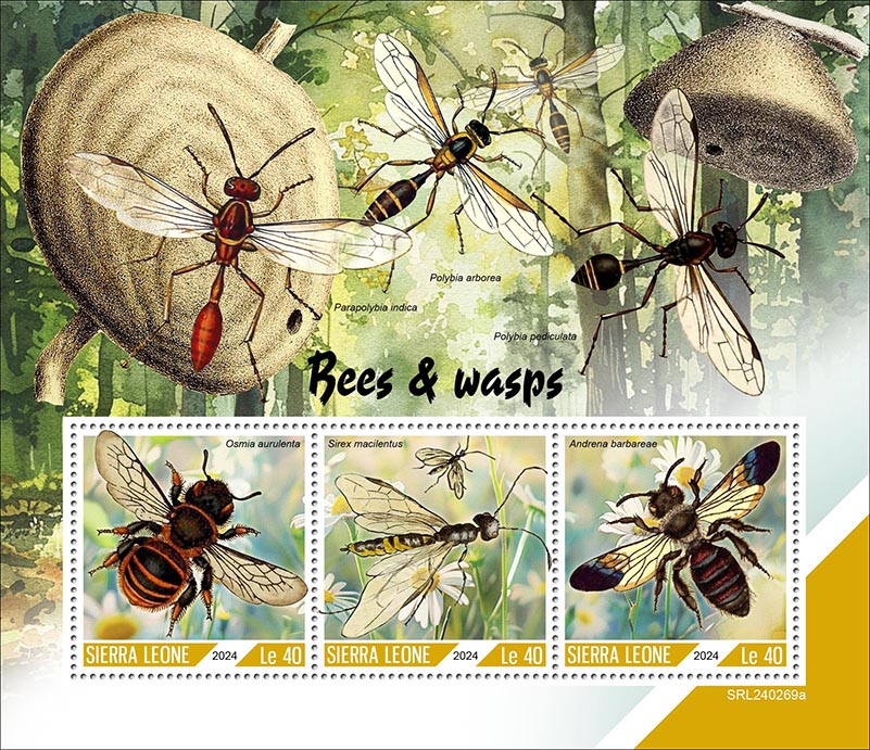Bienen und Wespen 2024